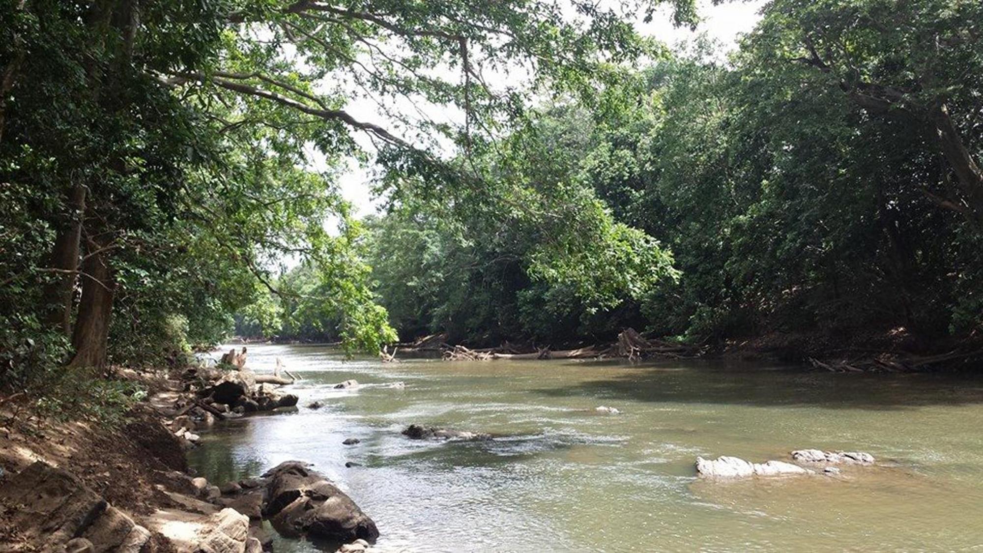 A4 Villas Udawalawe Buitenkant foto